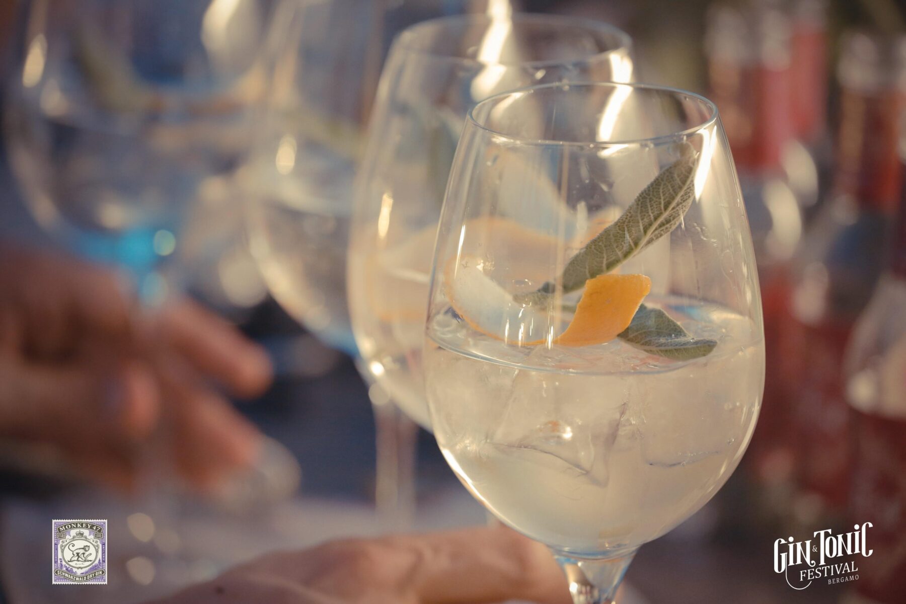 gin tonic festival