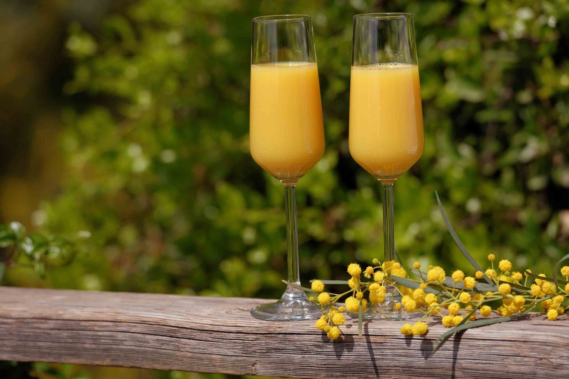 Cocktail con mimose