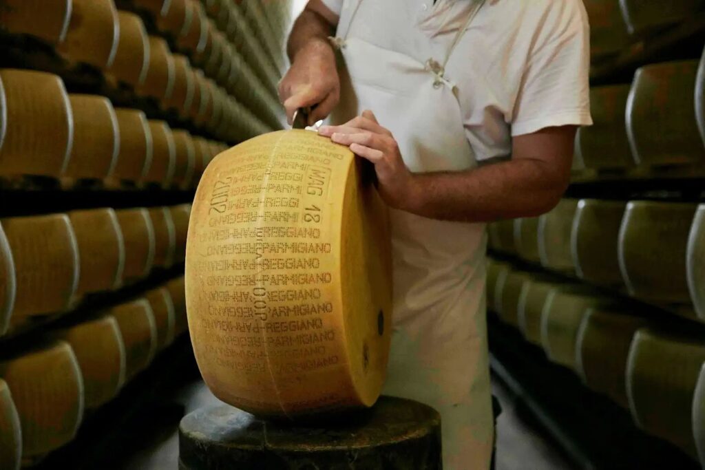 parmigiano reggiano forma intera