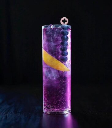 Blueberry Martini Tonic
