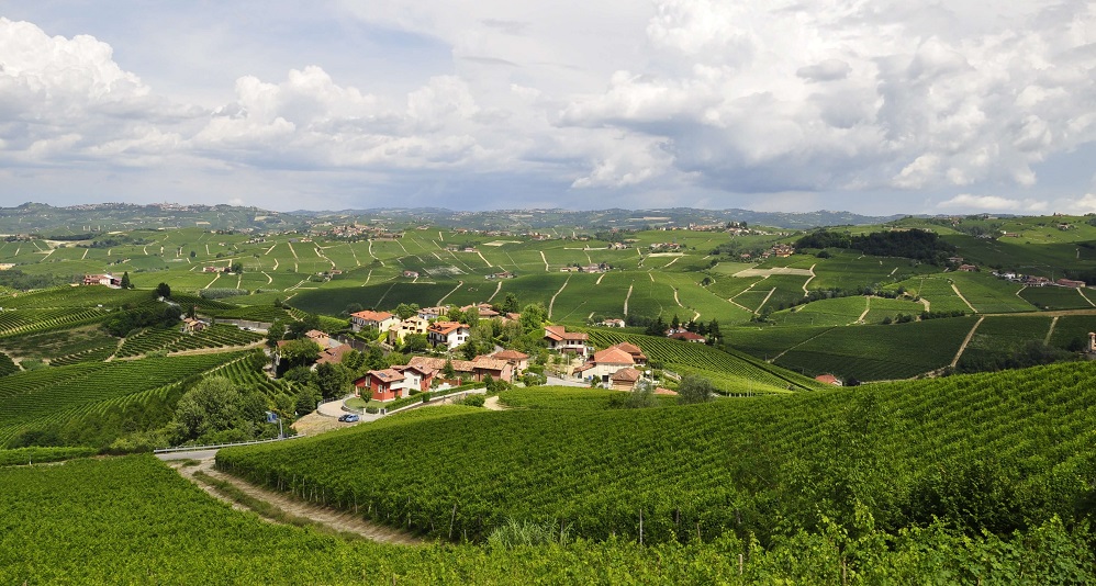 Piemonte Langhe