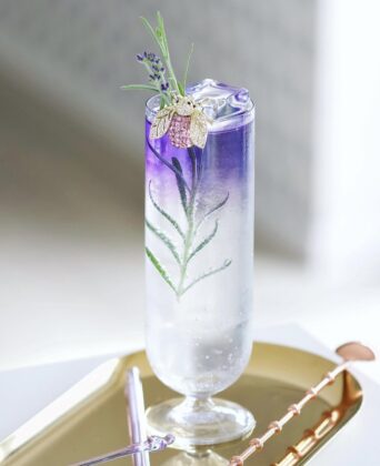 Simply Gin Tonic