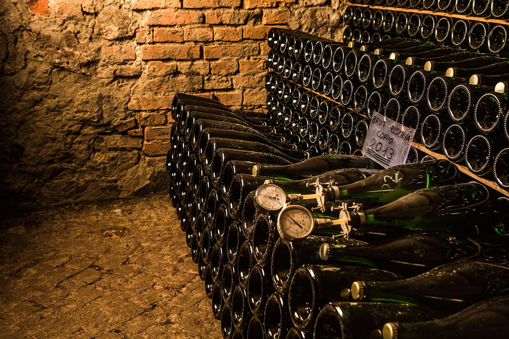 Vino in bottiglia, cantine Coppo