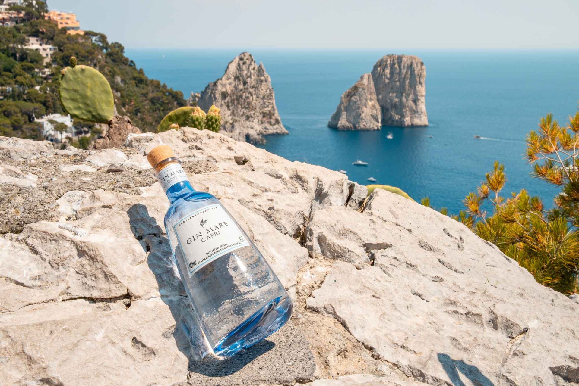 Gin Mare Capri