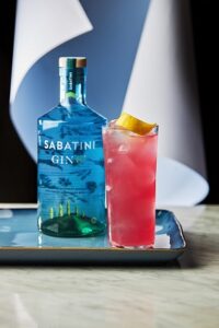 Ginofizz Sabatini GINO