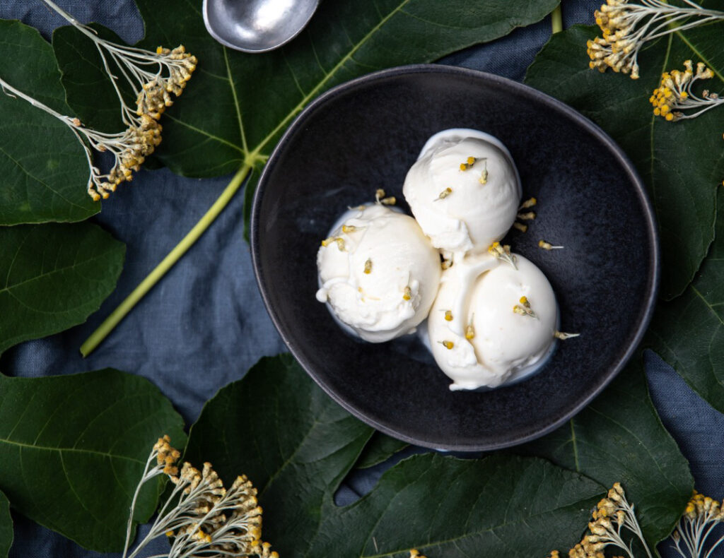 Gelato a foglie di fico, Lentisco ed Elicriso