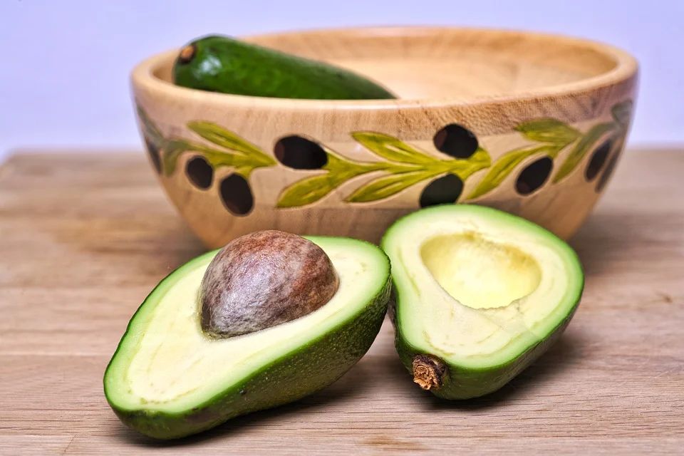 avocado frutto