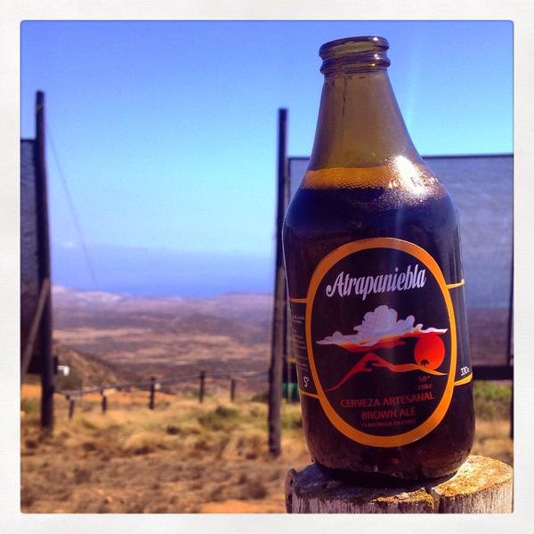 Atraplaniebla birra