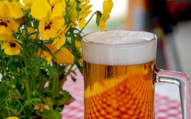 Birra