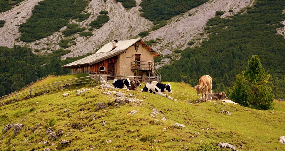 Malga Valle Aurina