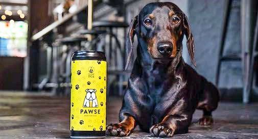 Pawse birra cani
