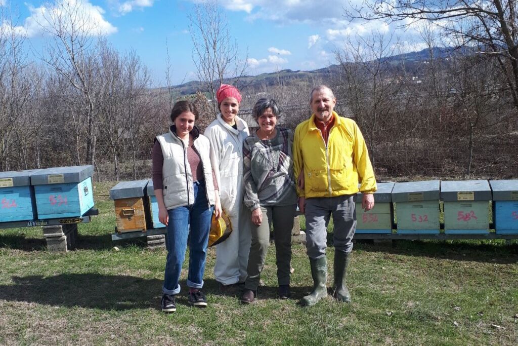 api famiglia manghi