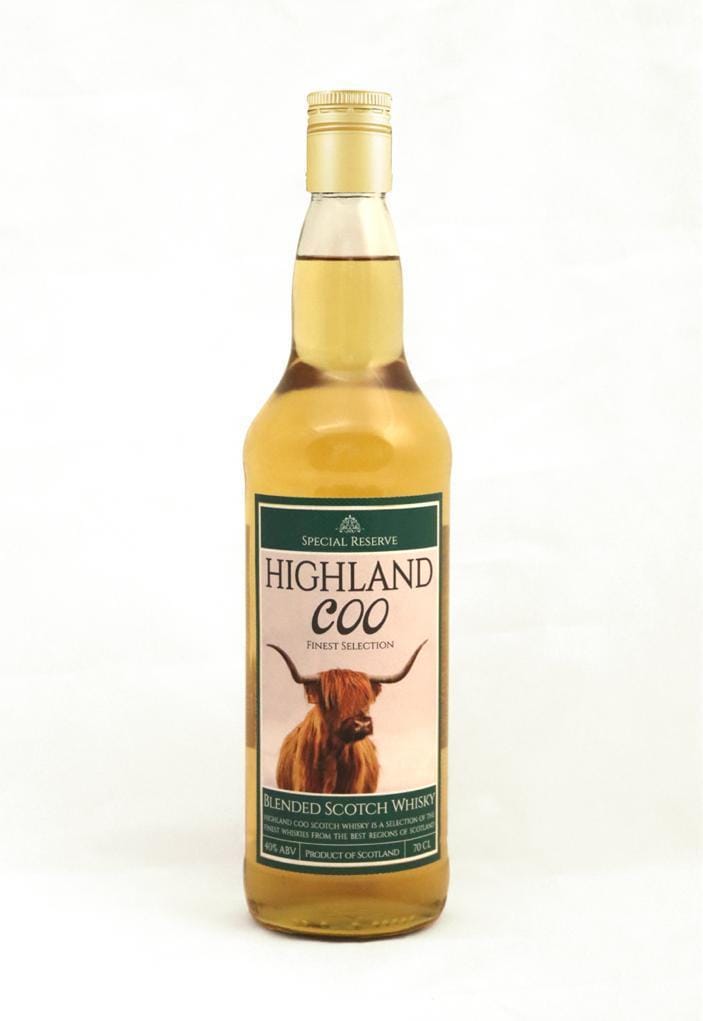 highland coo