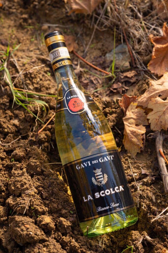 bottiglia La Scolca 2020