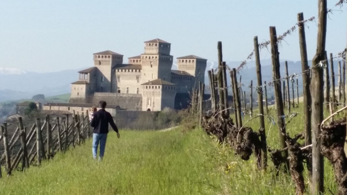 Azienda Antonio Aldini, vino