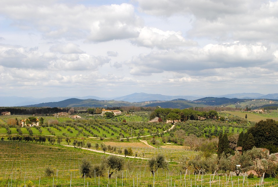 terreni del Chianti