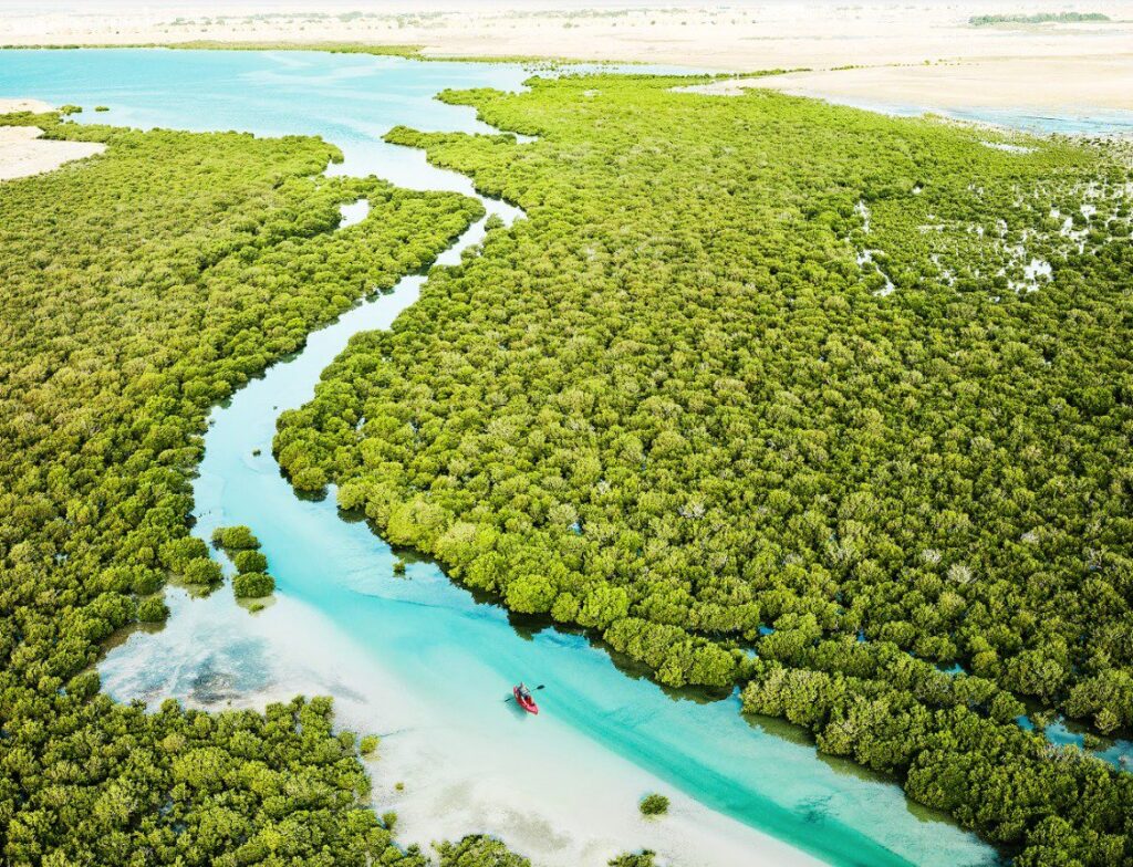 Qatar Tourism, Kayaking at Purple Island