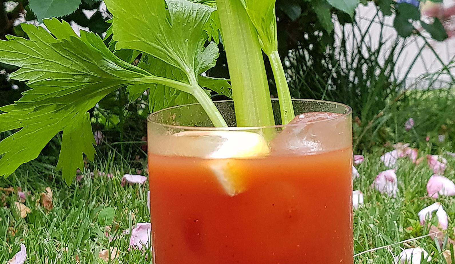 BLOODY MARY