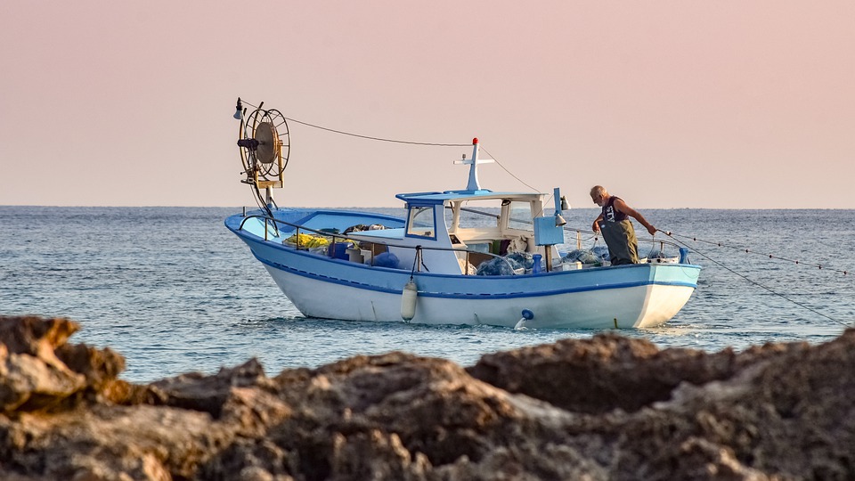 Pesca