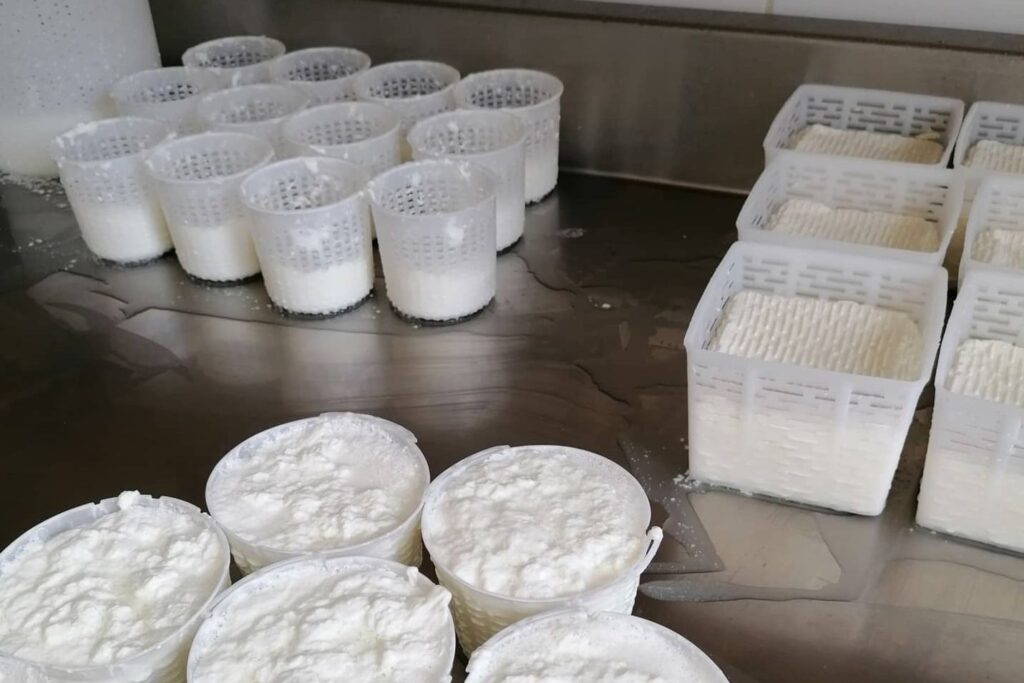 ricotta fresca, prodotto de La Dinara