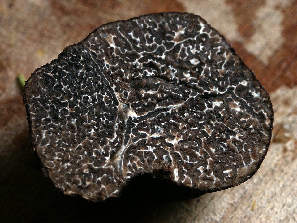 NeroNorcia, tartufo