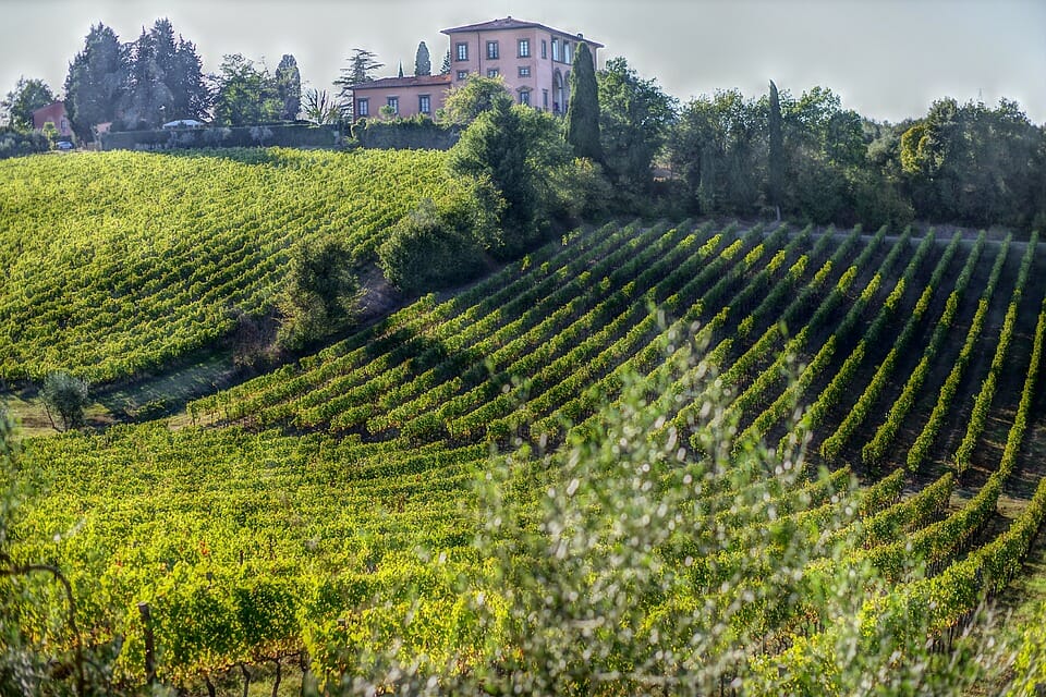 Settimana delle anteprime di Toscana.