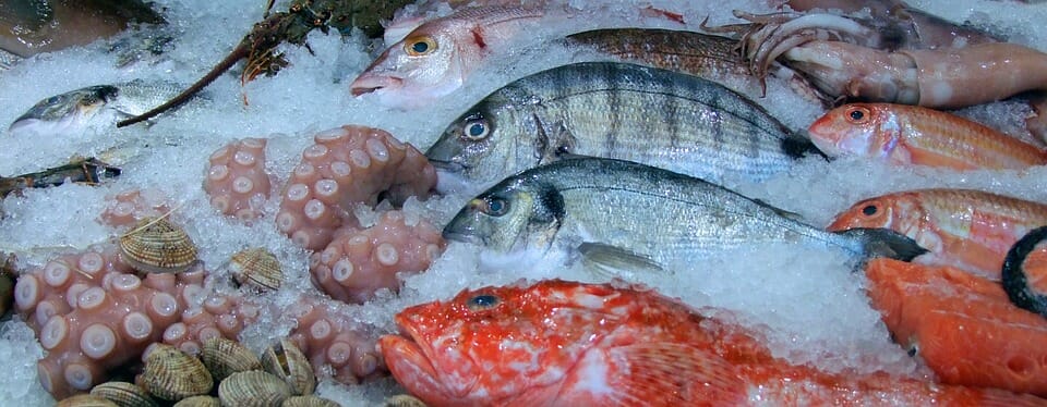 Pesca e pescherecci