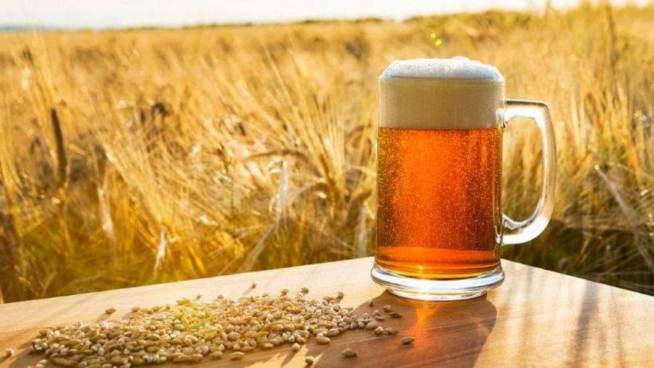 prezzo orzo birra