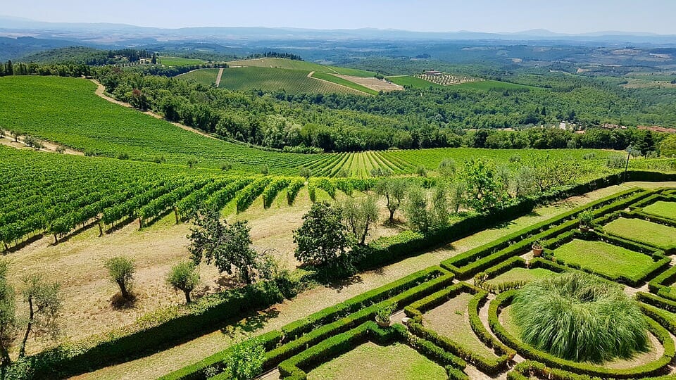 Vini Bolgheri