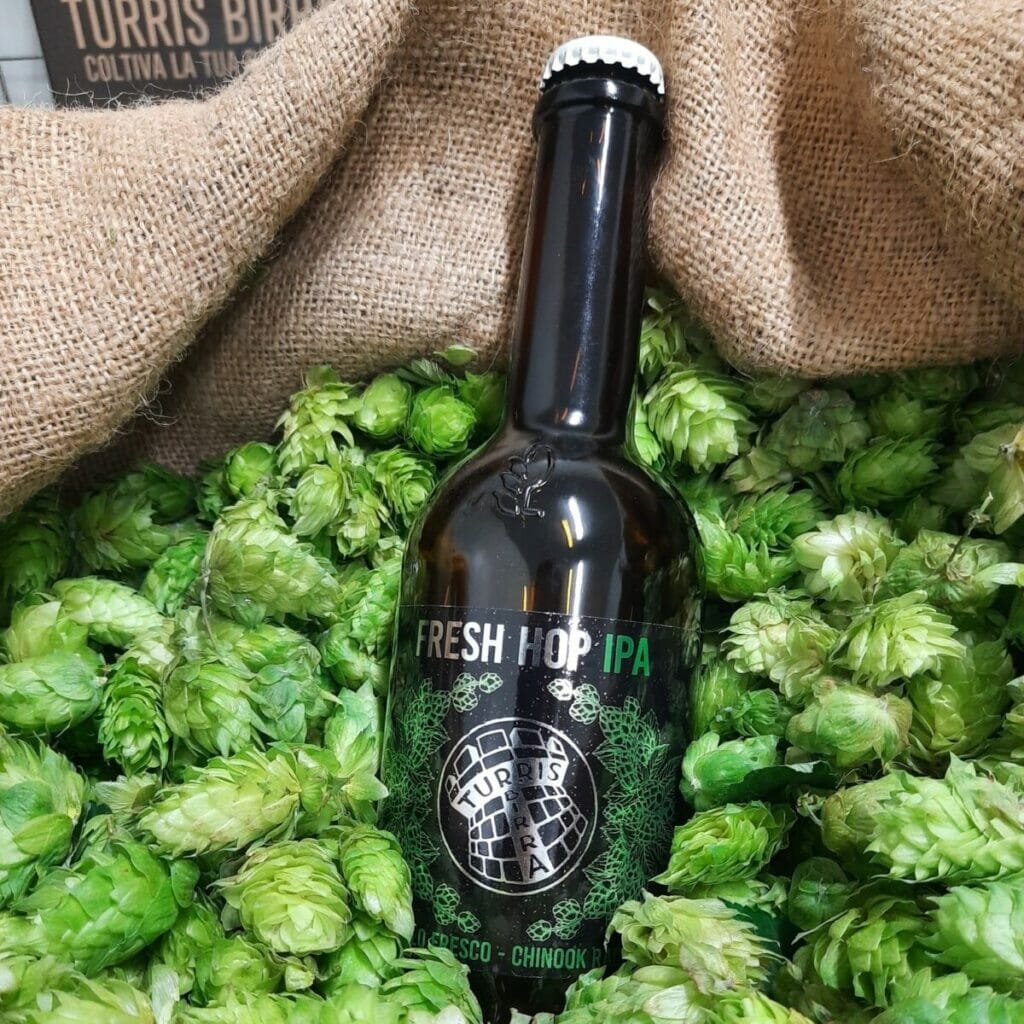 fresh hop ipa Turris