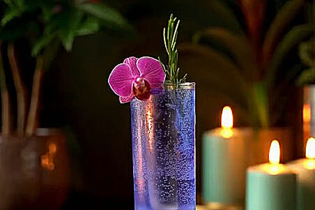 Gin Tonic