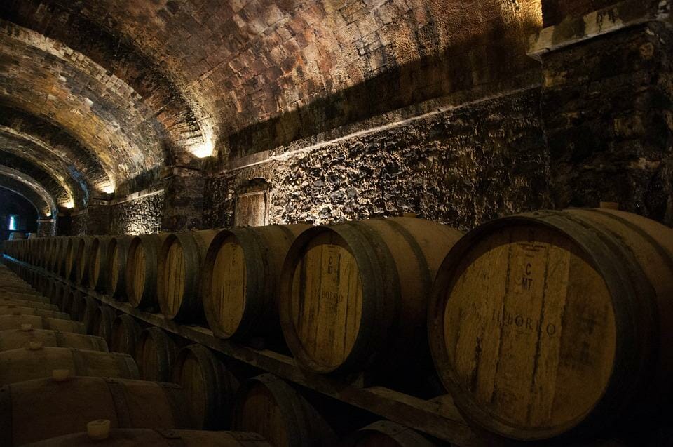 Saranno famosi nel vino