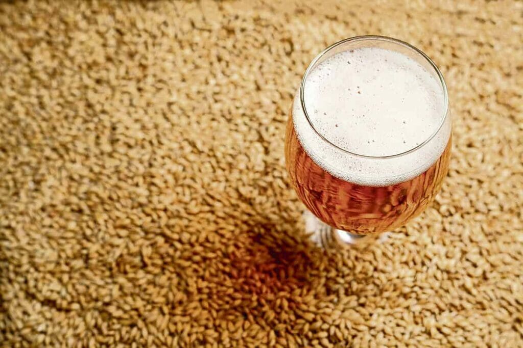 birra, orzo maltato