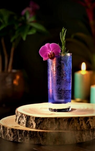 Gin Tonic