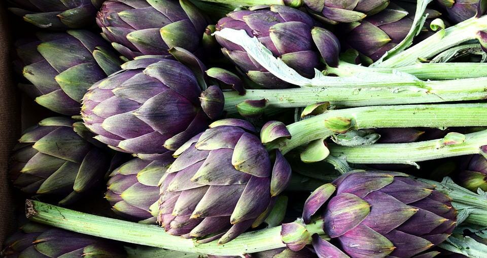 carciofo slow food