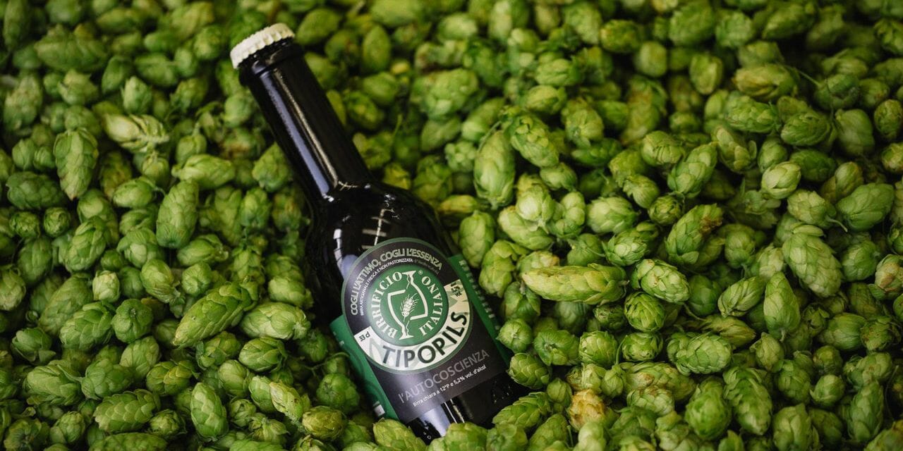 birra Tipopils
