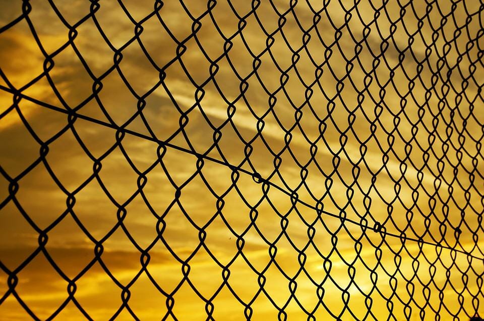 rete per problema preste suina