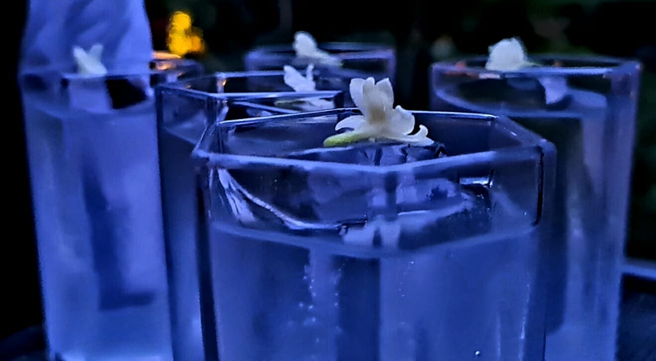 roku gin cocktail