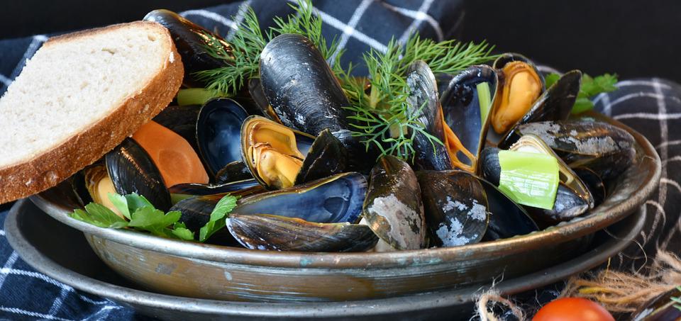 cozze