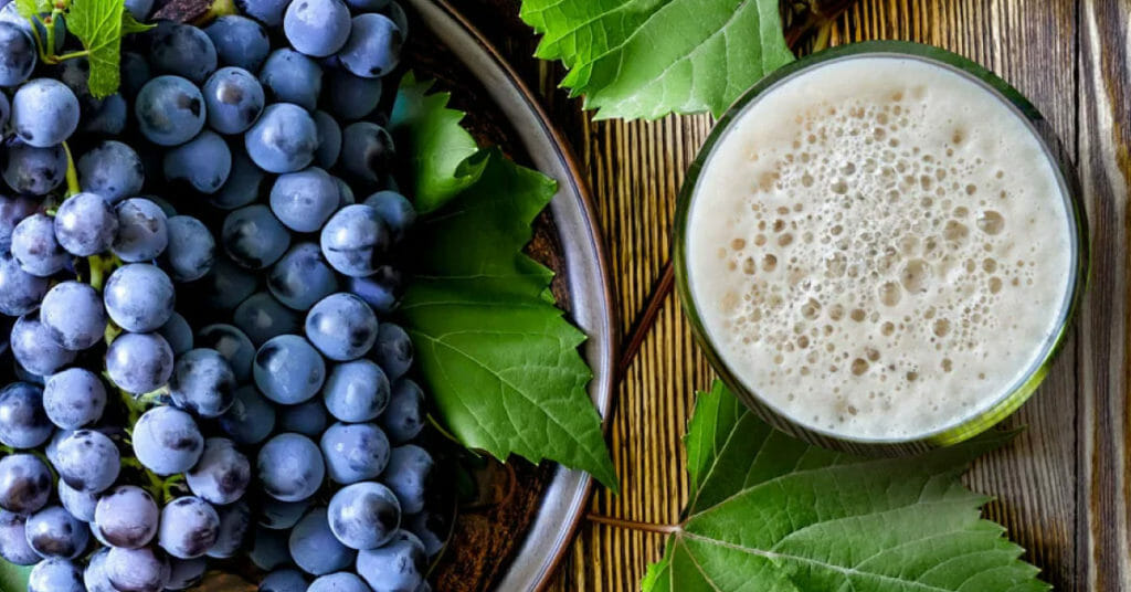 birra alla frutta