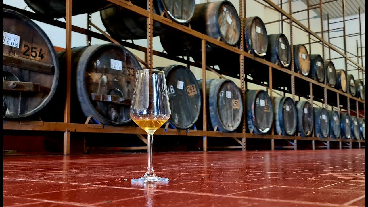 VERNACCIA VERMOUTH