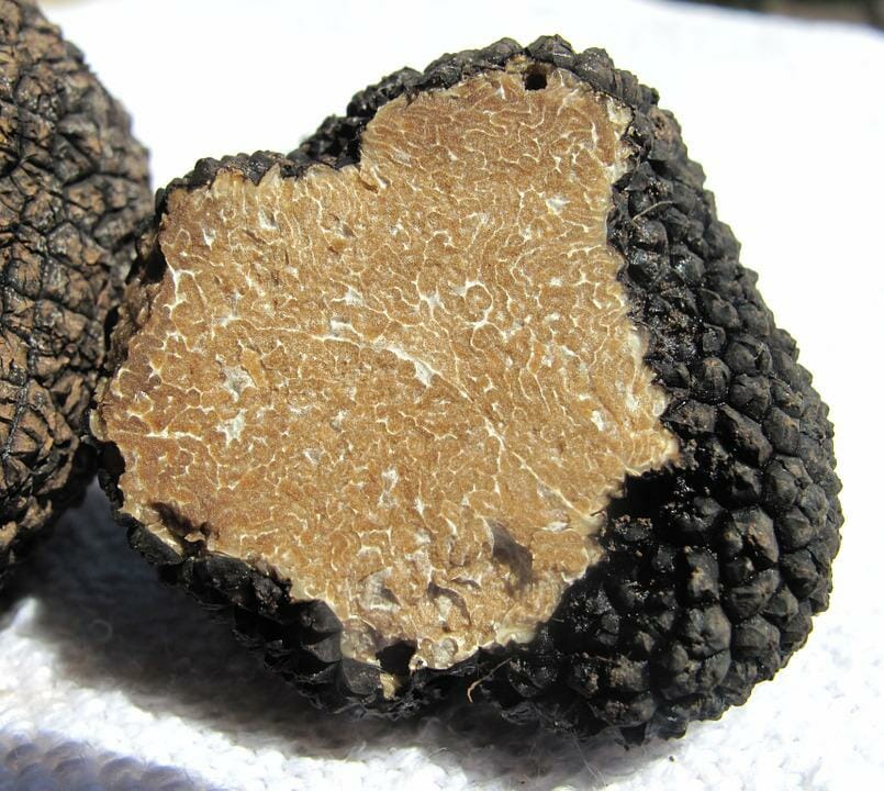 tartufo patrimonio culturale immateriale dell'umanità