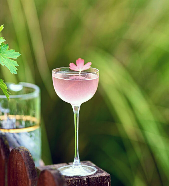 Gimlet ricetta