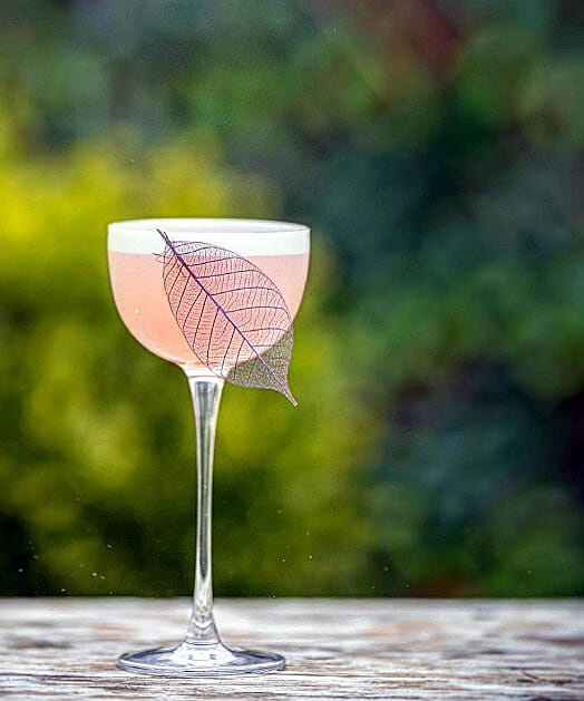 Daiquiri