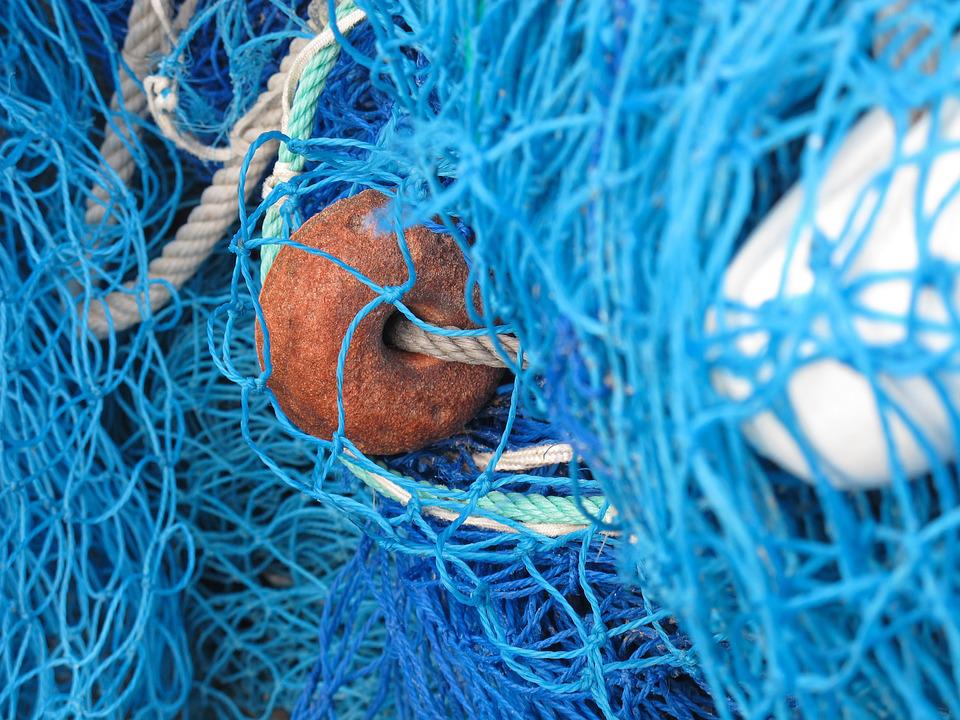 Brodetto fest, manifestazione pesca