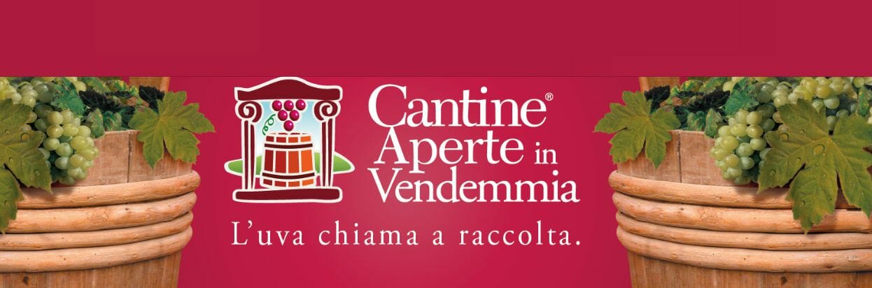 Cantine aperte in vendemmia
