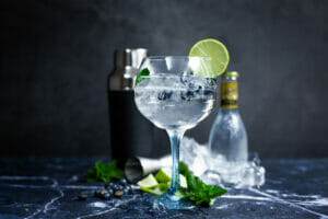 Cocktail Gin Tonic