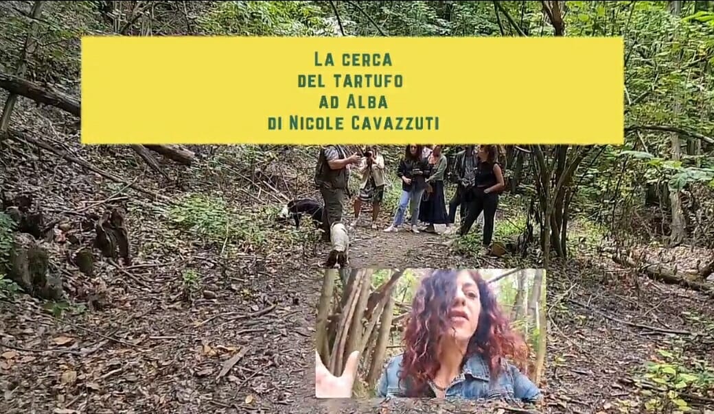 tartufo