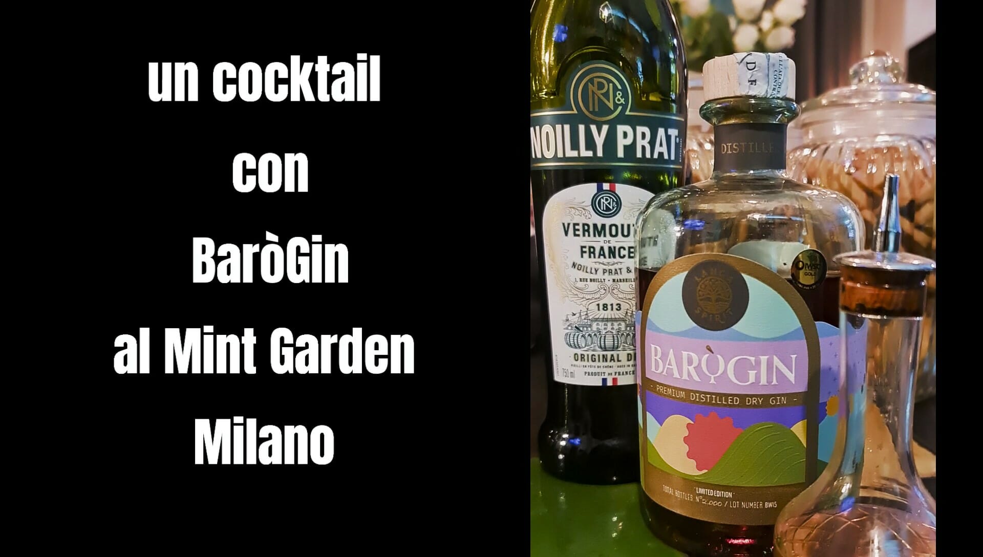 BaroGin