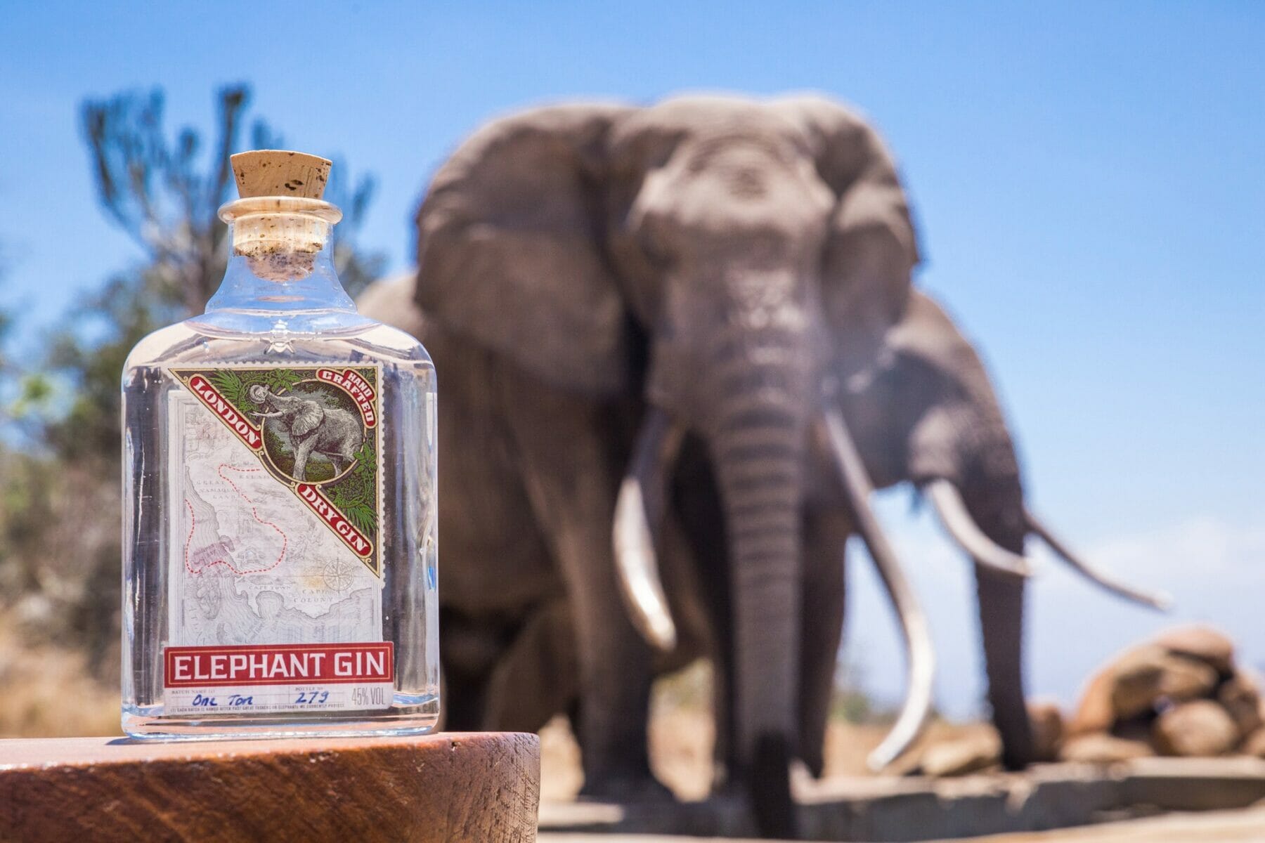Il Natale per Elephant Gin è all'insegna della solidarietà